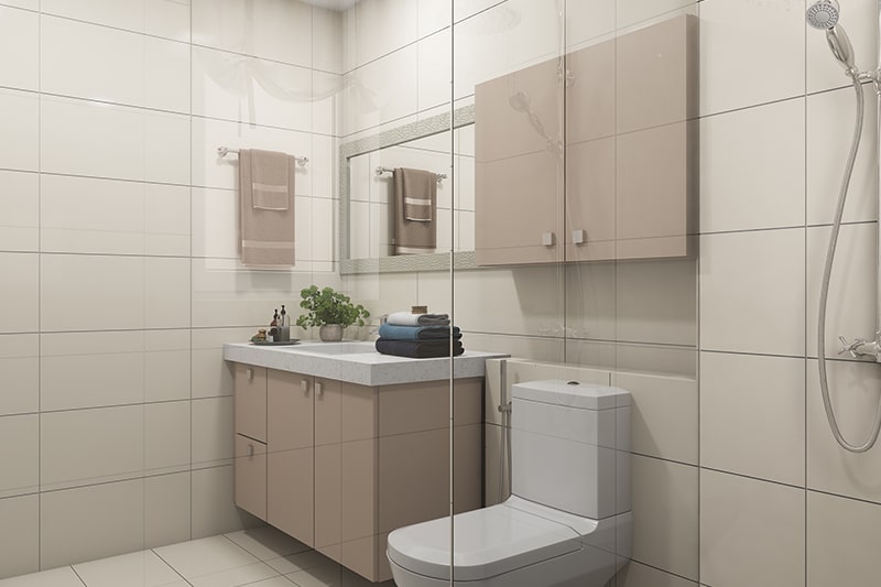 Bathroom renovations and remodeling ideas for indian bathrooms