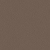 Champagne Lacquered Glass finish for Modular Kitchen