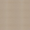 Misty Dreams Cream 44708 NL