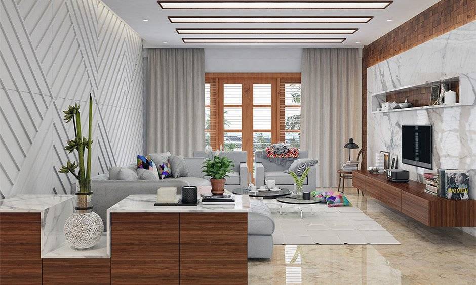 7 Indoor Plants As Per Vastu That You Must Avoid In Your Home